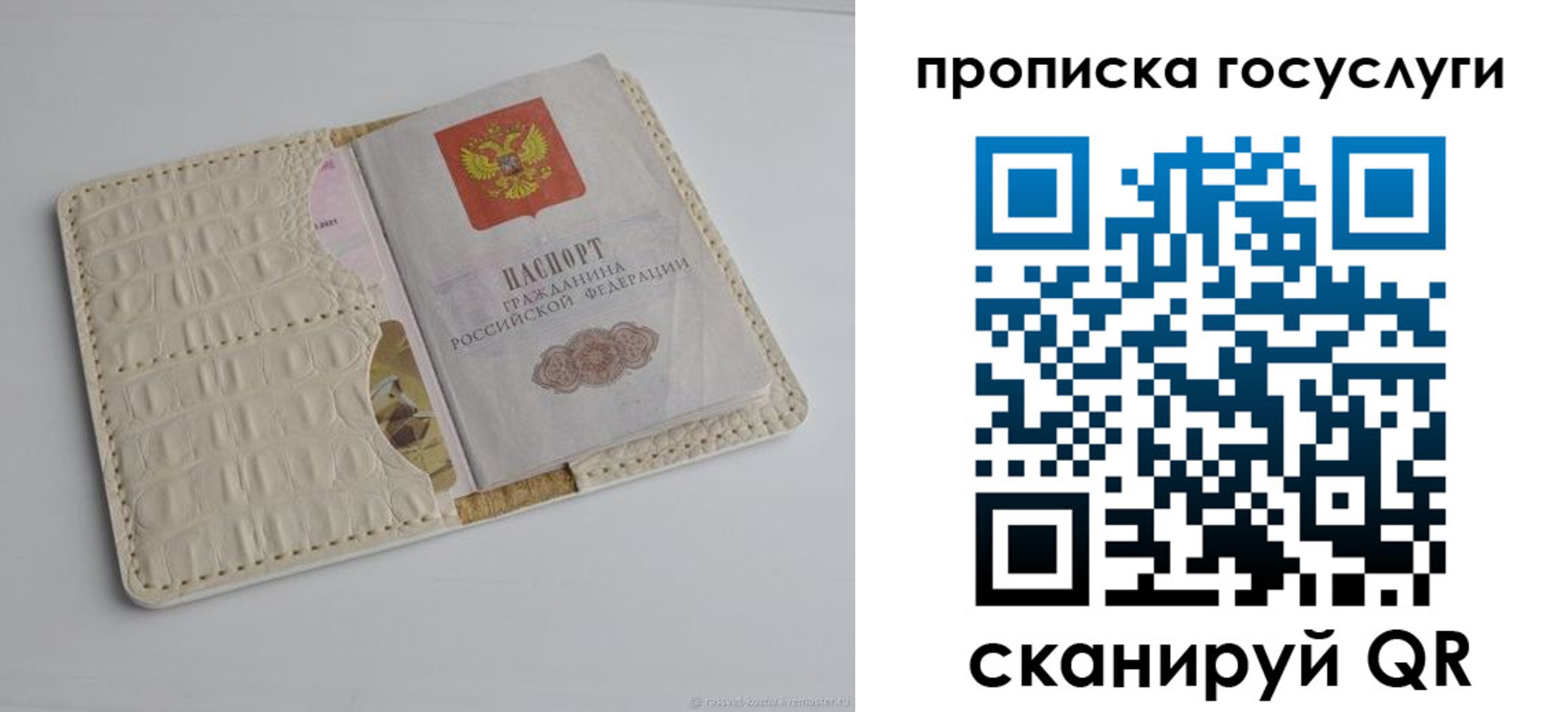 прописка законно в Почепе